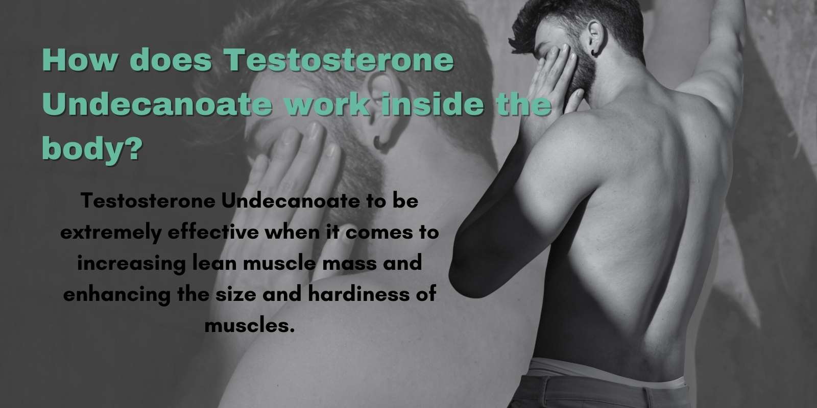 How does Testosterone Undecanoate work inside the body?