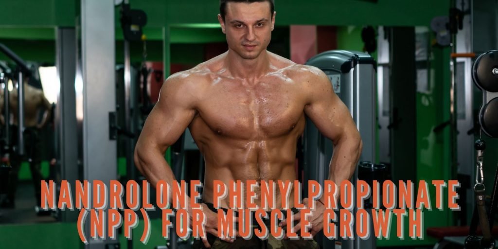 Nandrolone Phenylpropionate (NPP) for muscle growth